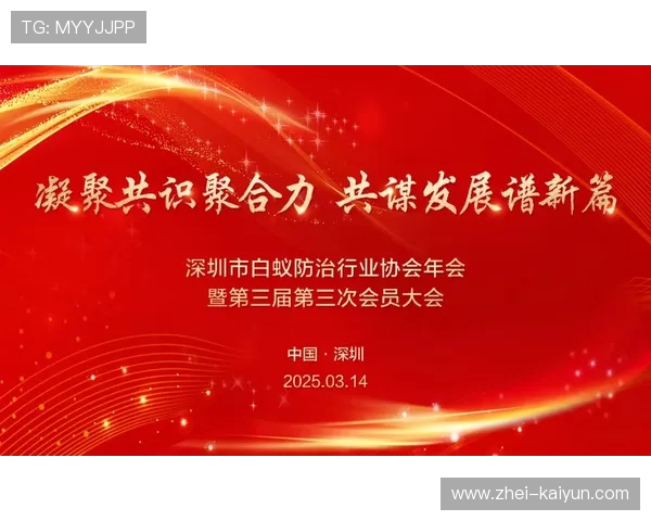 融合多元文化的足球“节庆”在全国多个城市落地，凝聚行业共识